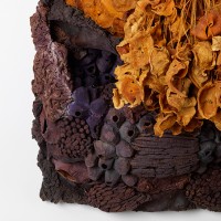 <a href=https://www.galeriegosserez.com/gosserez/artistes/l-c-lab.html> L&C Lab</a> - Biomater